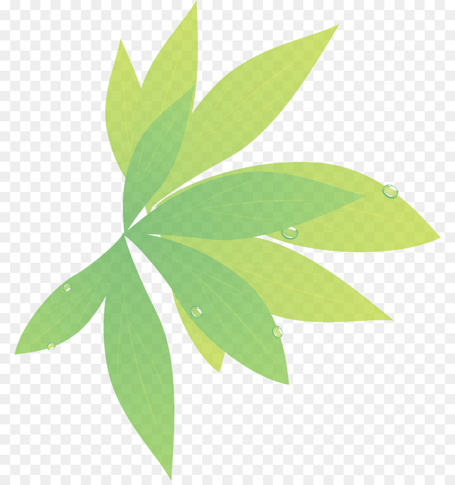 New Delhi，Feuille PNG