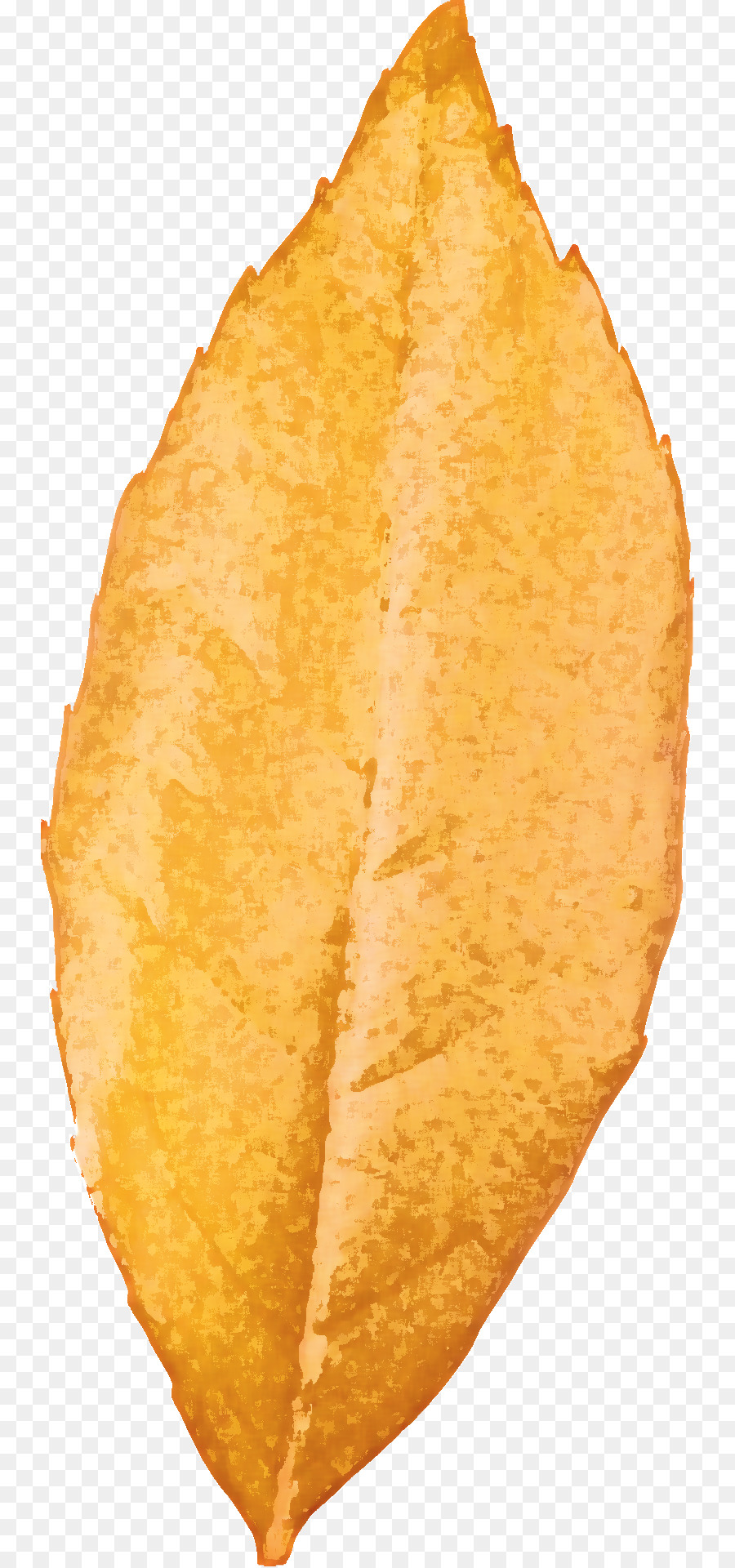 Feuille，Orange Sa PNG