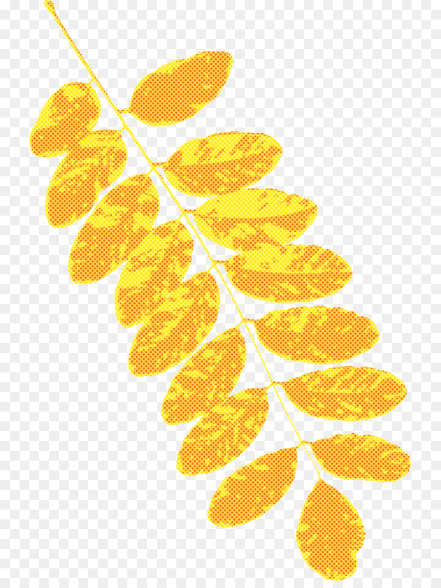 Feuilles D'oranger，Automne PNG