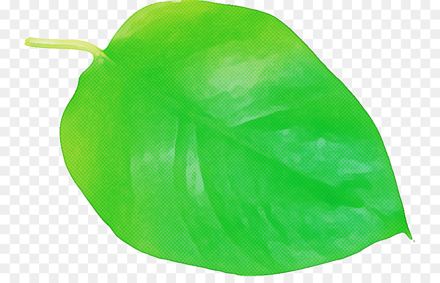 Feuille Verte，Usine PNG