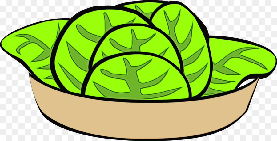 Laitue Verte，Salade PNG