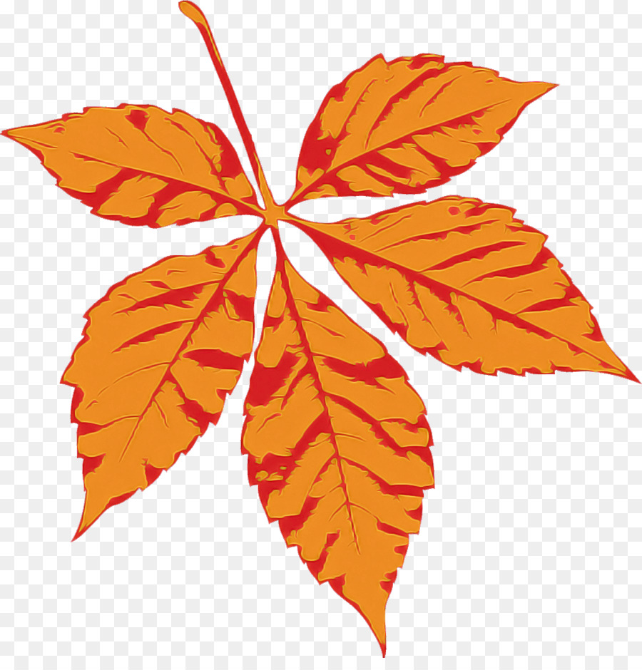 Feuille，Automne PNG