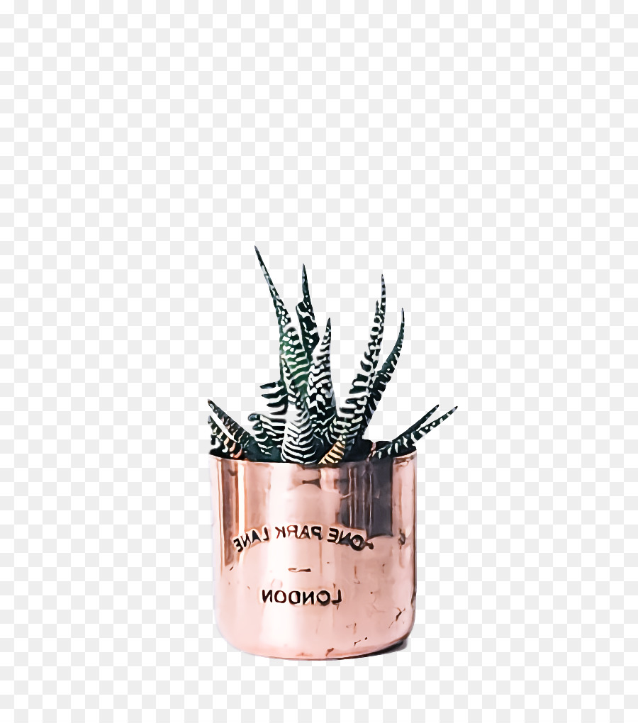 Flowerpot， PNG