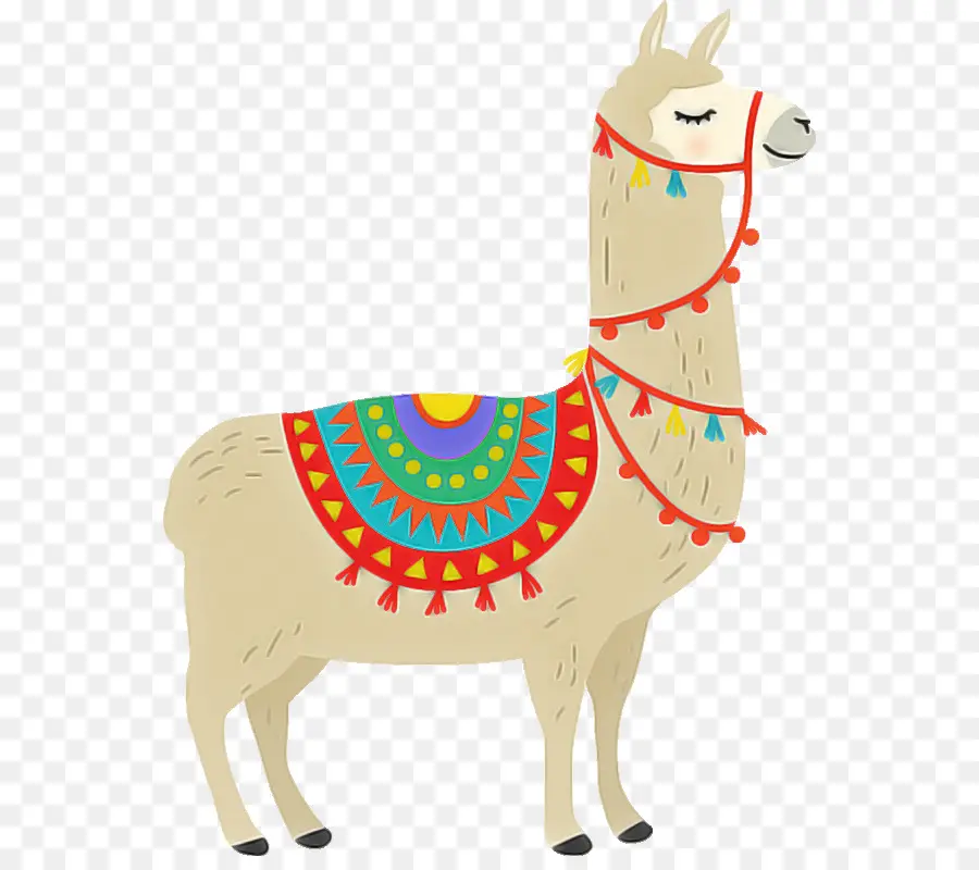 Lama，Décoré PNG