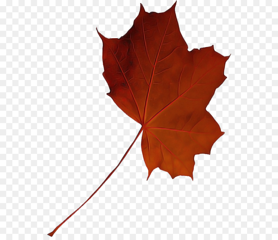 Feuille Rouge，Automne PNG