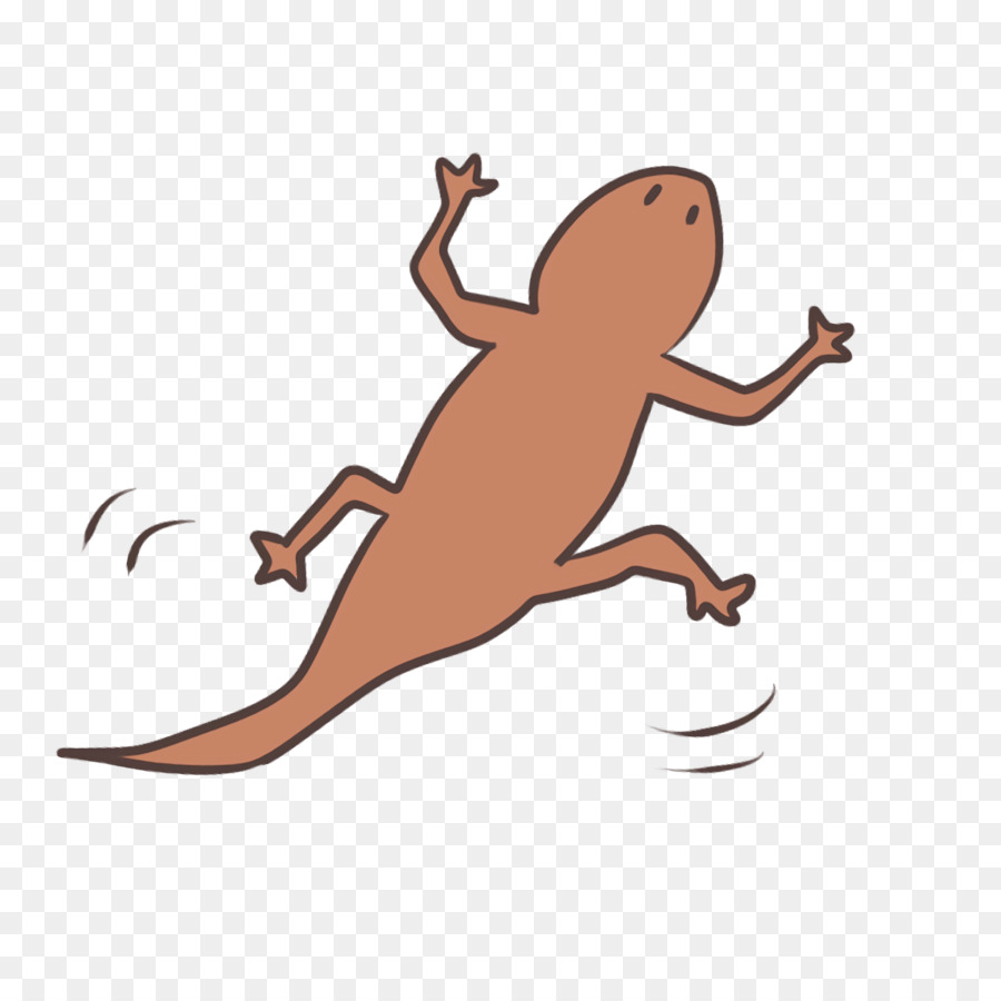 Lézard，Reptile PNG