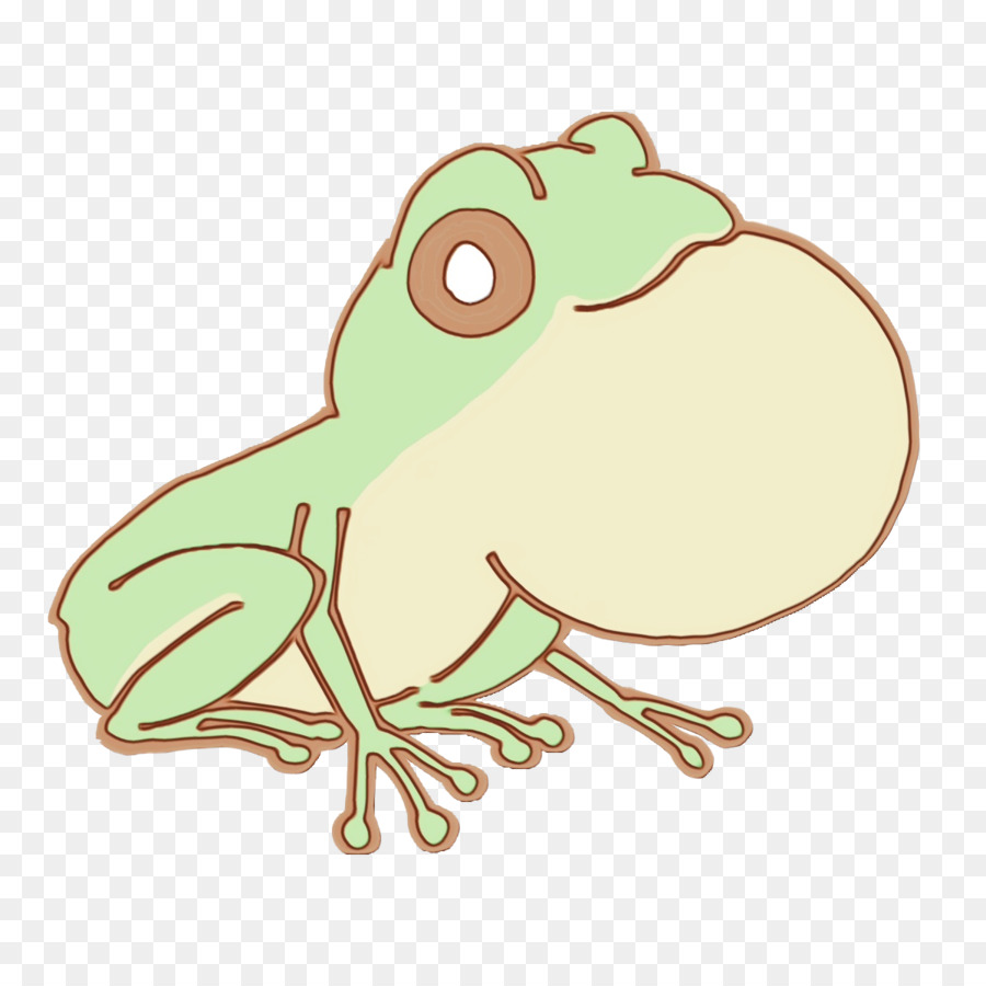 Grenouille，Amphibie PNG