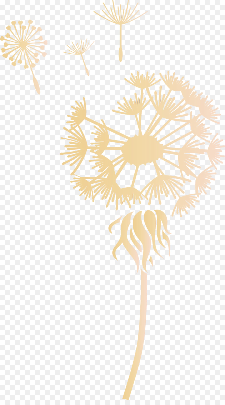 Pissenlit，Fleur PNG