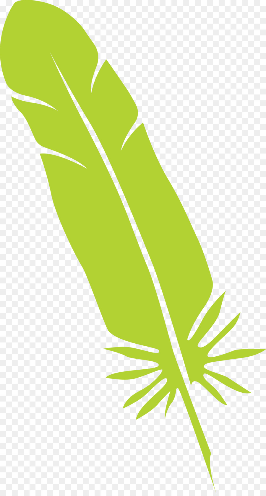 Feuille，Tige De La Plante PNG