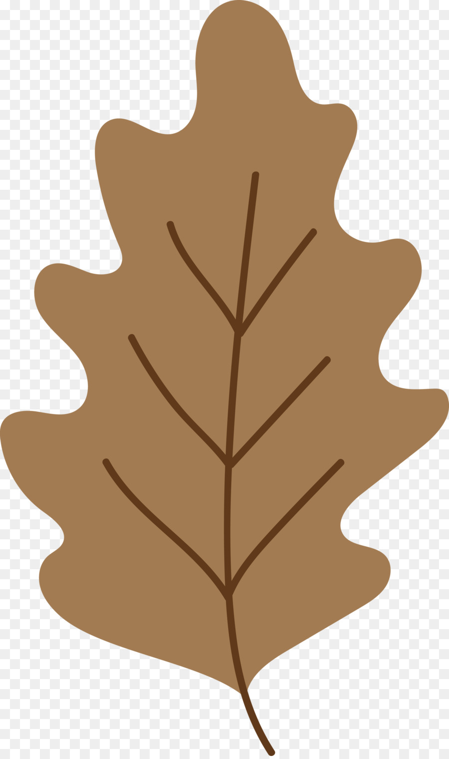 Feuille，Mtree PNG