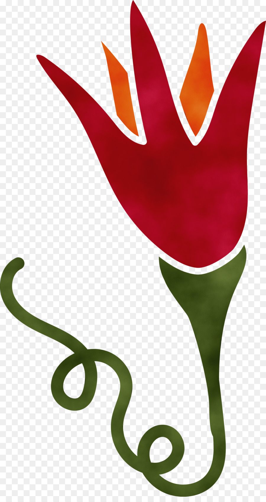 Fleur，Floraison PNG