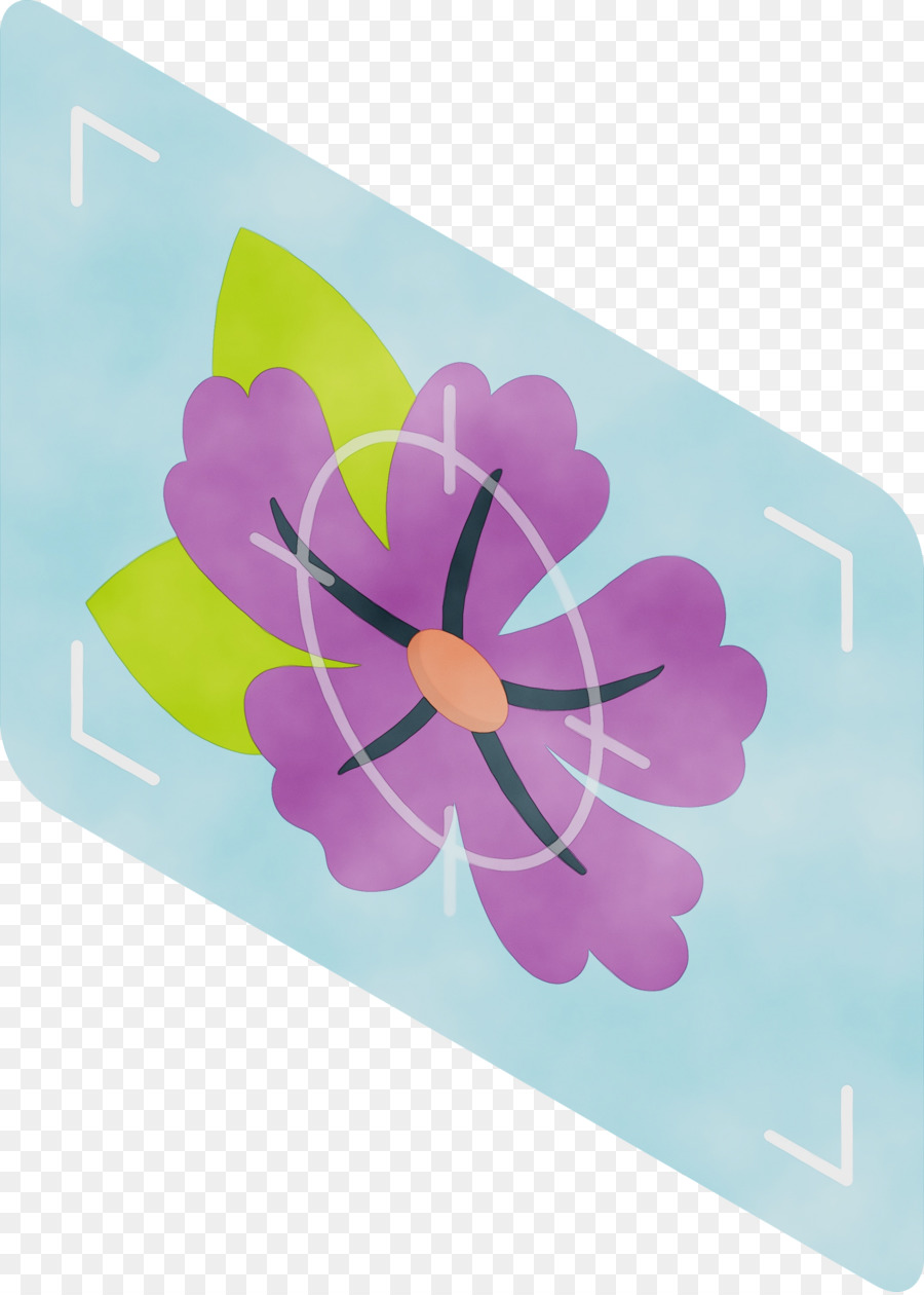 Design Floral，Rectangle M PNG