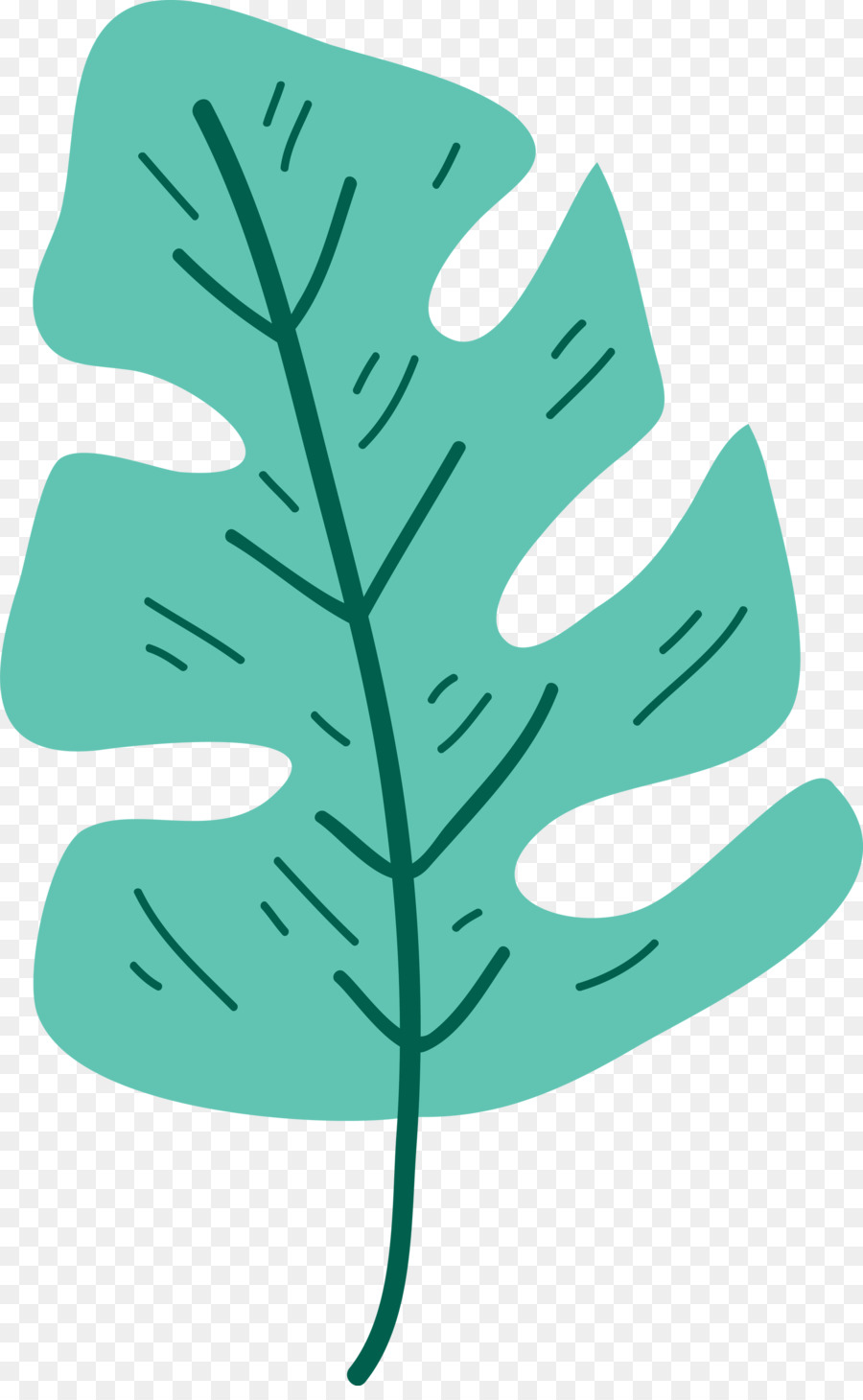 Feuille Verte，Usine PNG