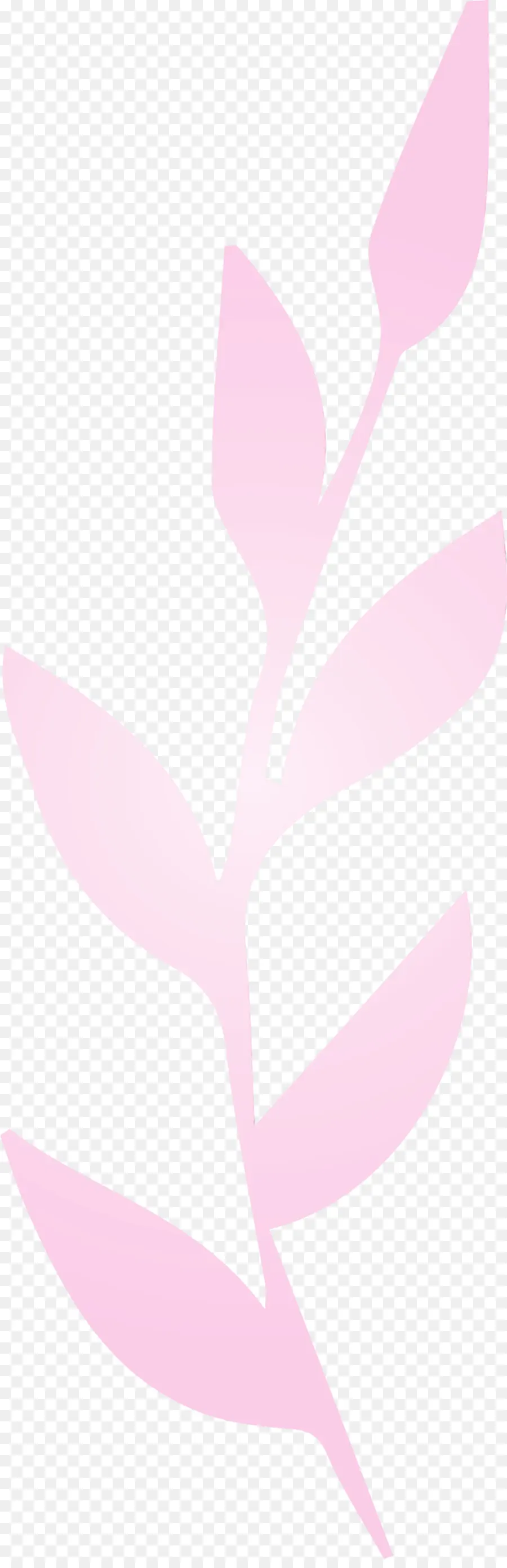 Feuille Rose，Usine PNG