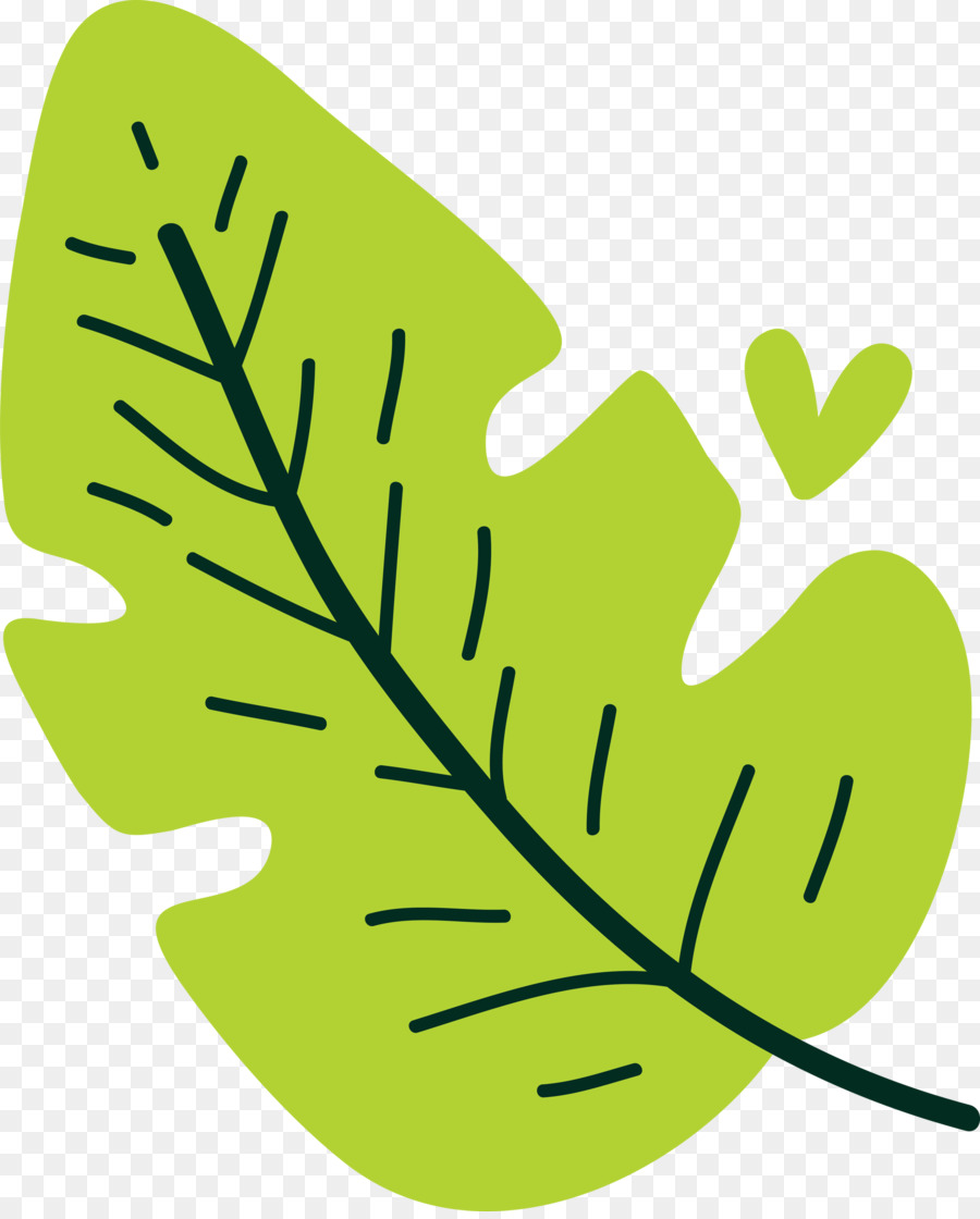 Feuille Verte，Usine PNG