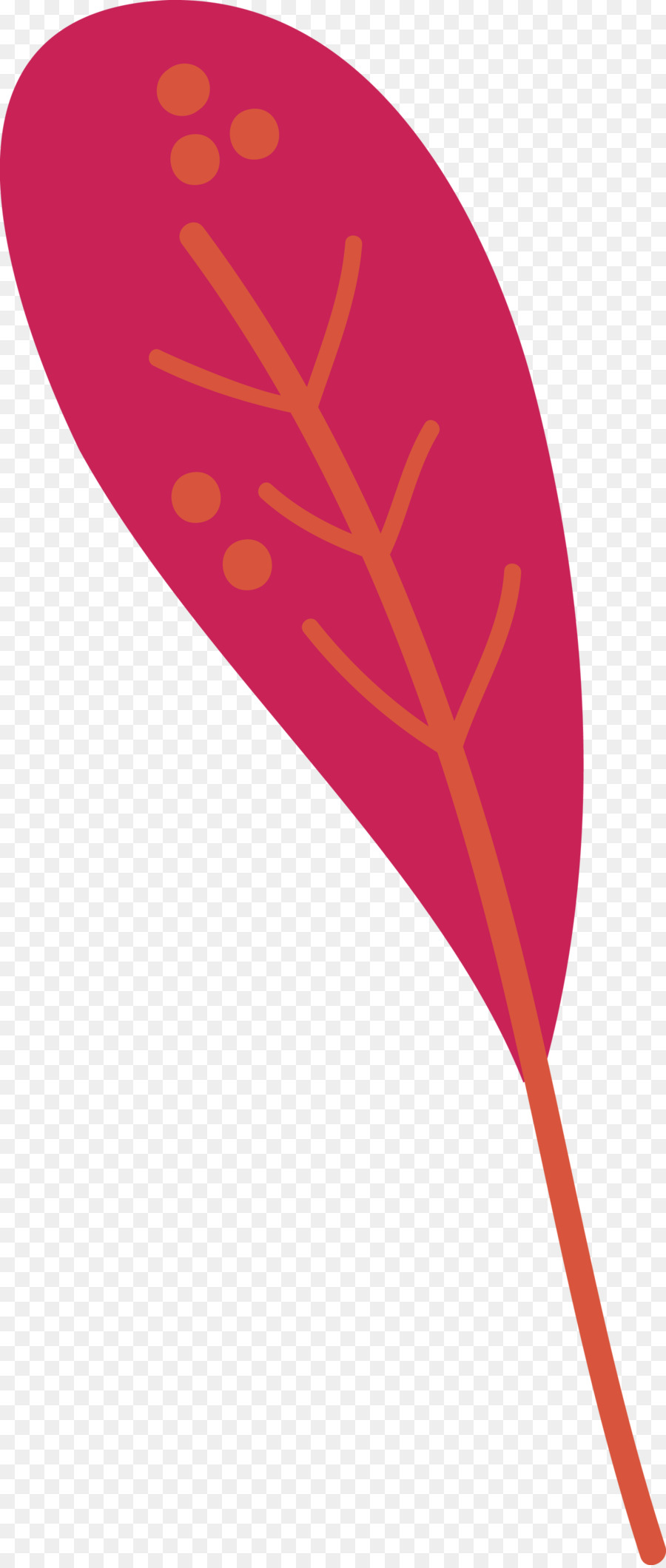 Feuille，Usine PNG