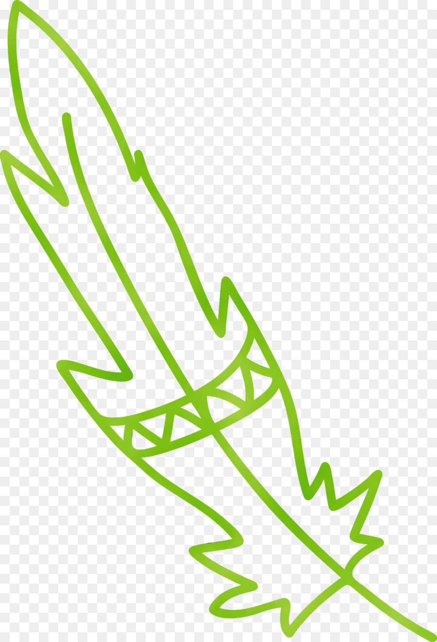 Plume，Dessin PNG