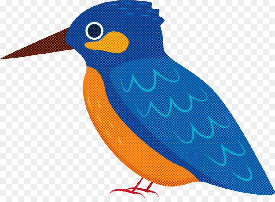 Oiseau Bleu，Plumes PNG