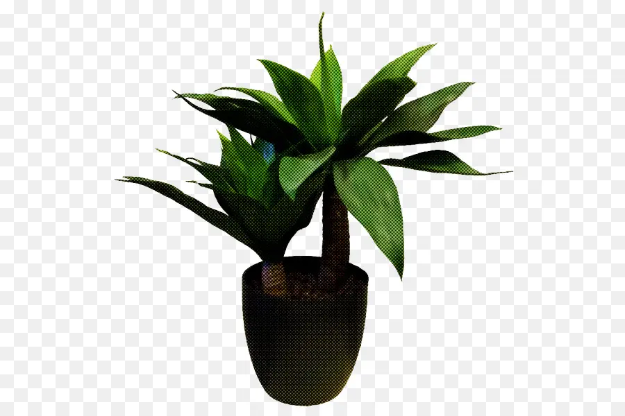 Flowerpot，Plante D'intérieur PNG