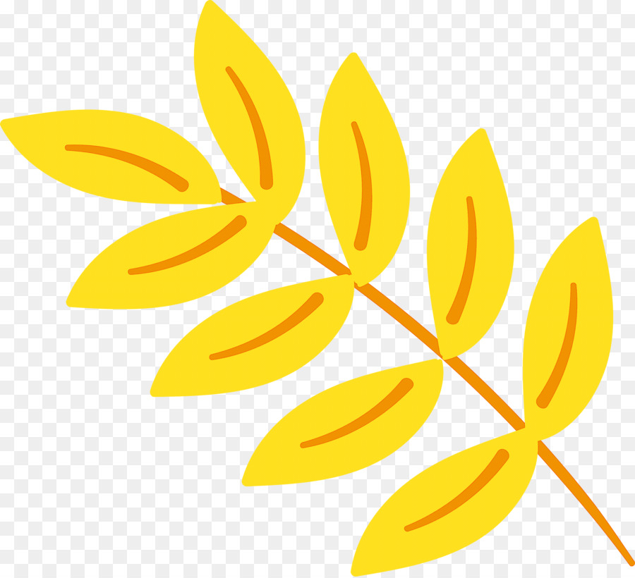 Feuille Tige  De La Plante  Dessin  Anim  PNG Feuille 