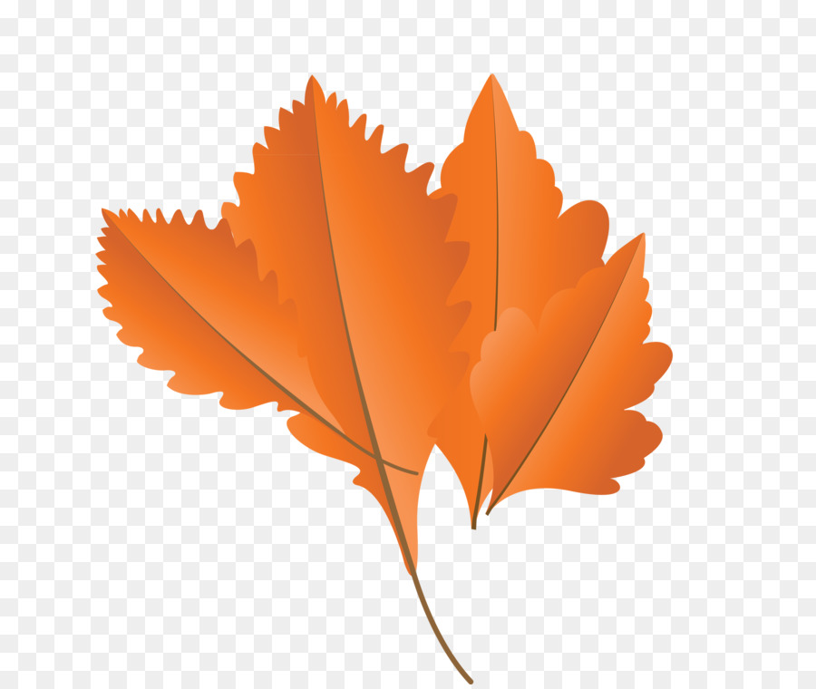 Feuille Rouge，Automne PNG