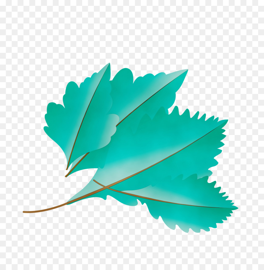 Feuille，Vert PNG