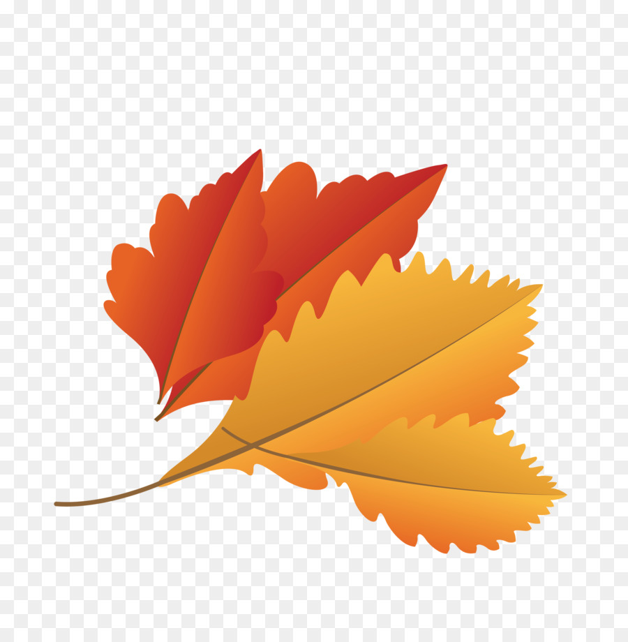 Feuille，Automne PNG