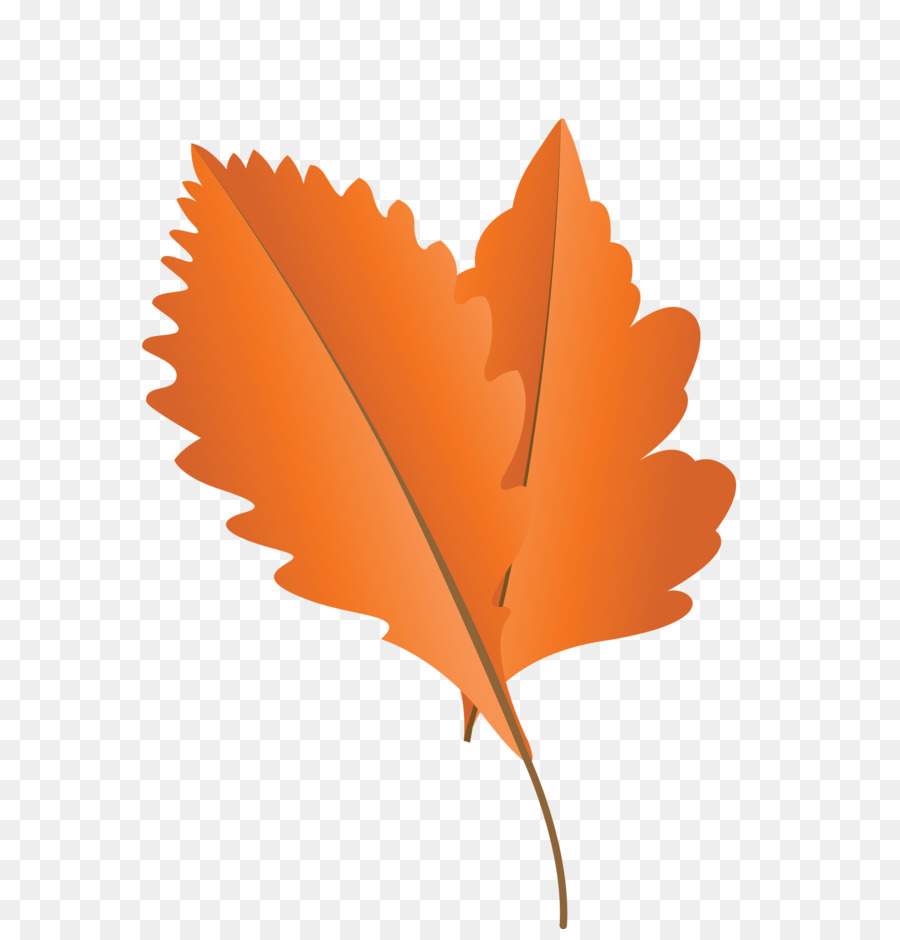 Feuilles D'automne，Automne PNG