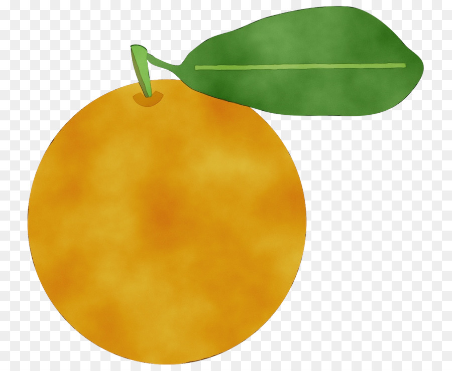 Le Mandarin Orange，Orange PNG
