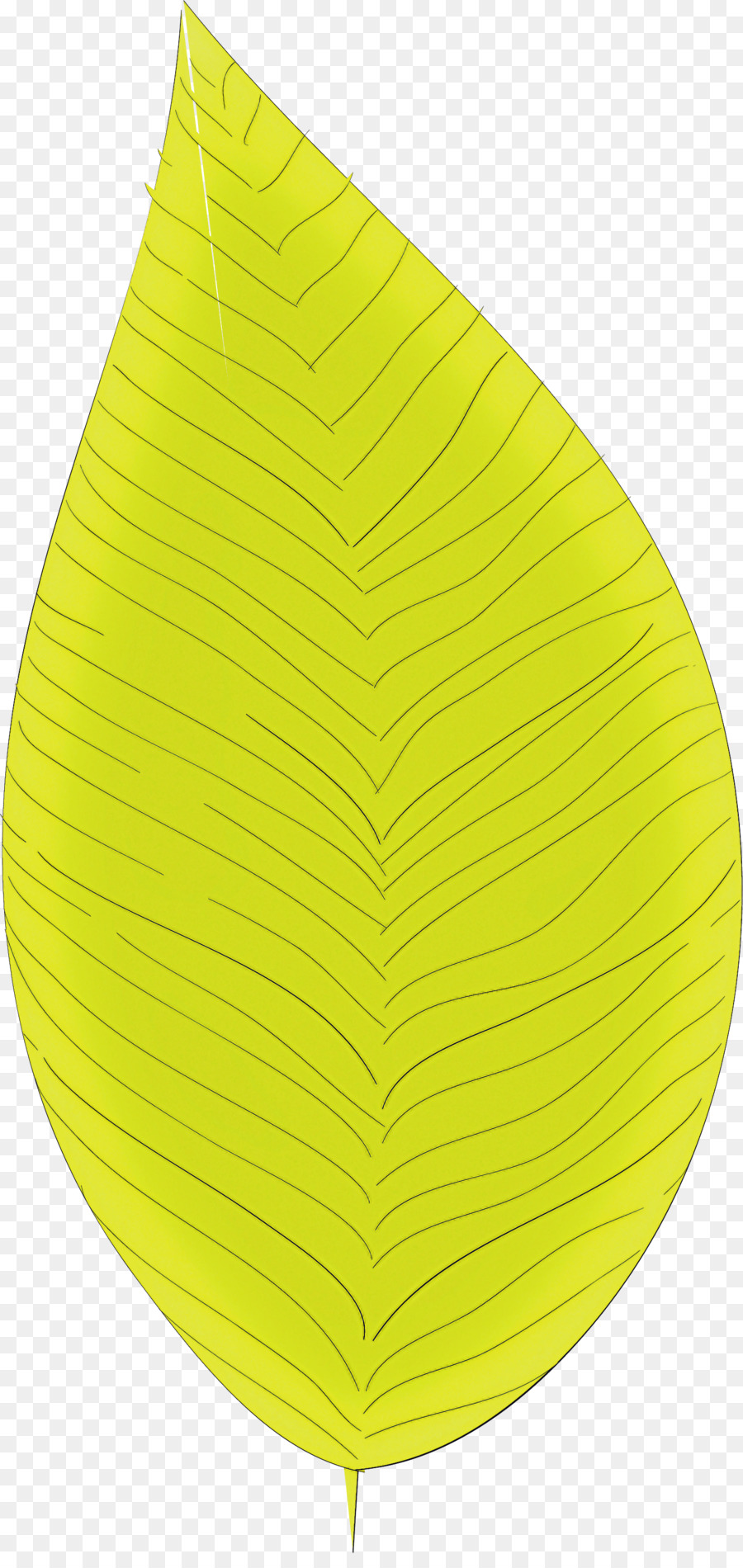 Feuille，Jaune PNG