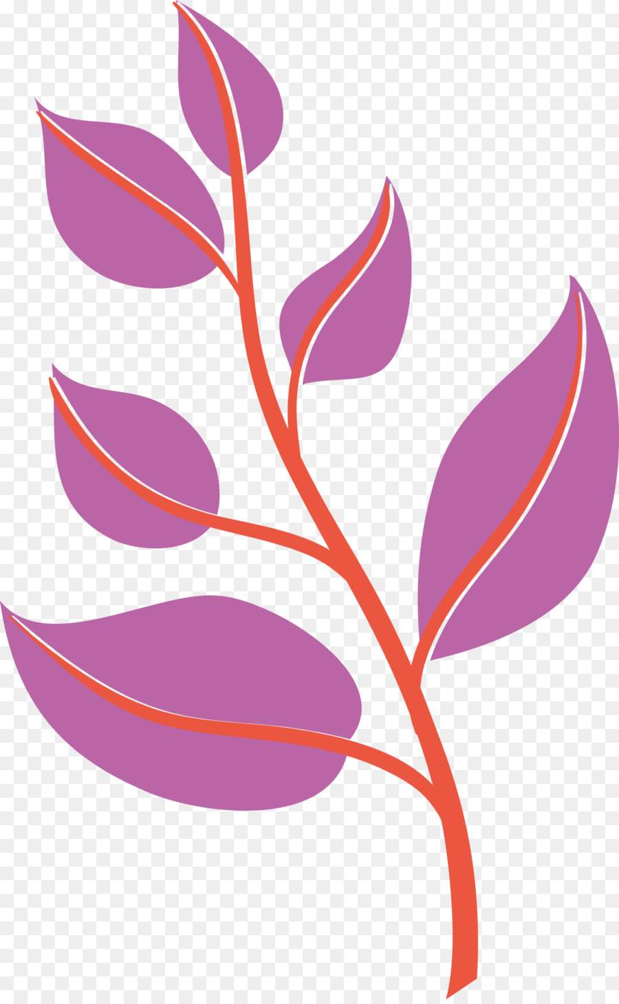 Plante Rose，Feuille PNG