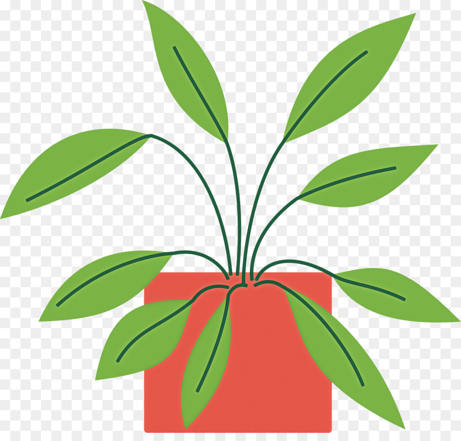 Feuille，Tige De La Plante PNG