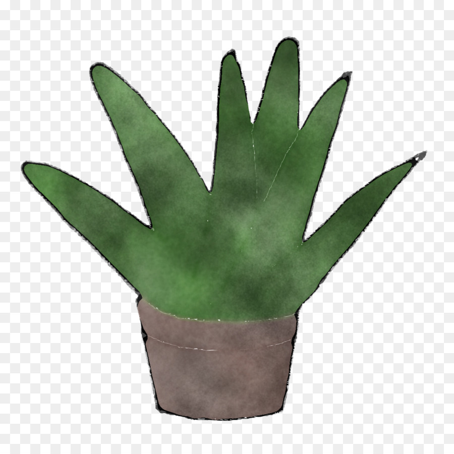 Feuille，Tige De La Plante PNG