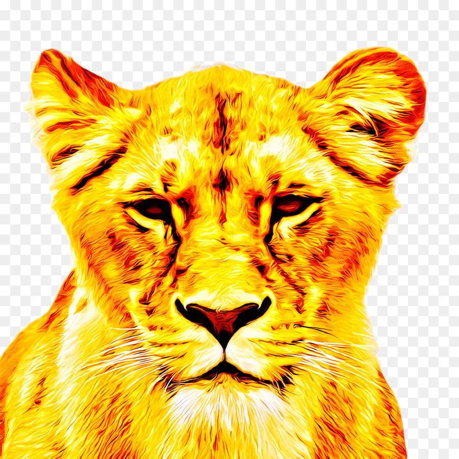 Lion，Impression Sur Toile PNG