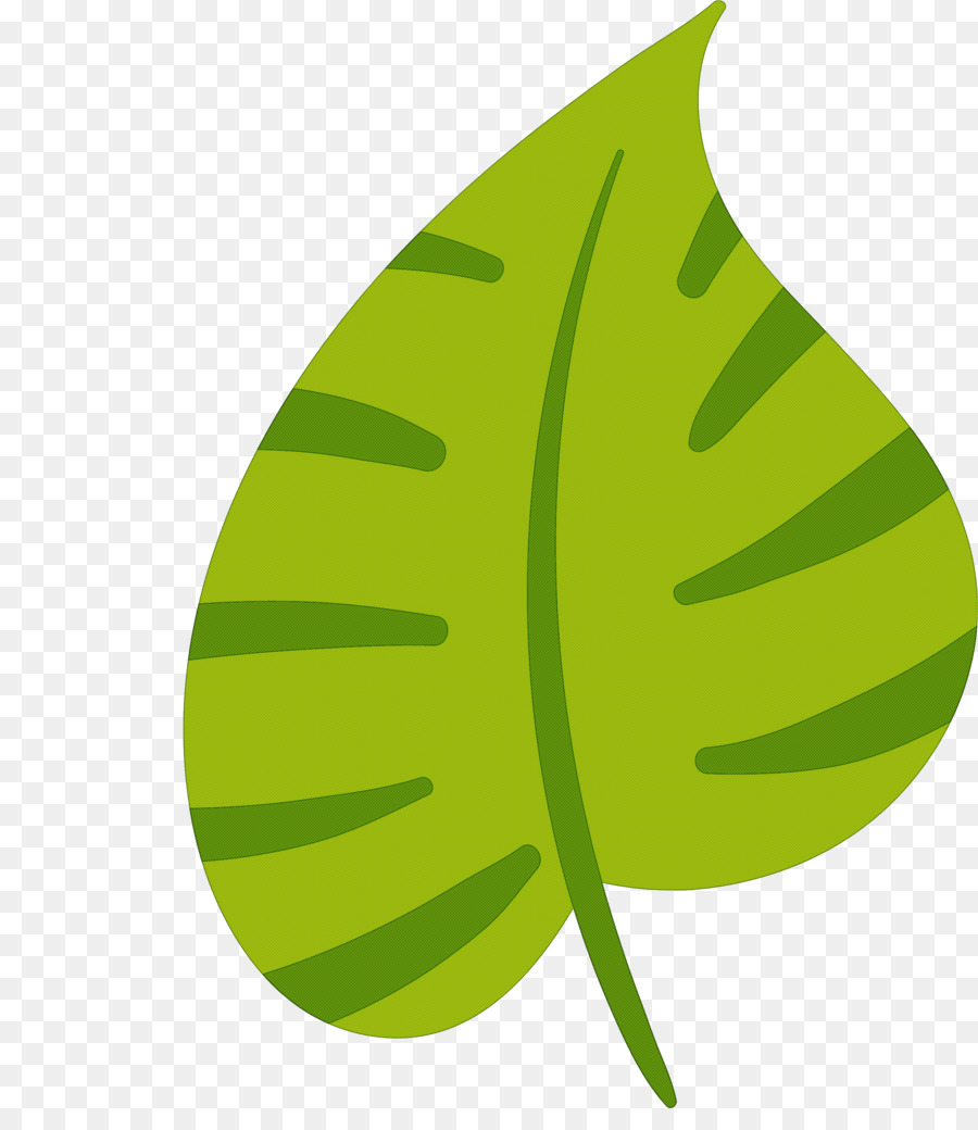 Feuille，Usine PNG