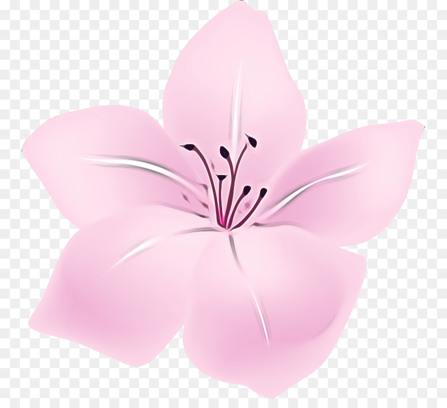 Fleur Rose，Fleurir PNG