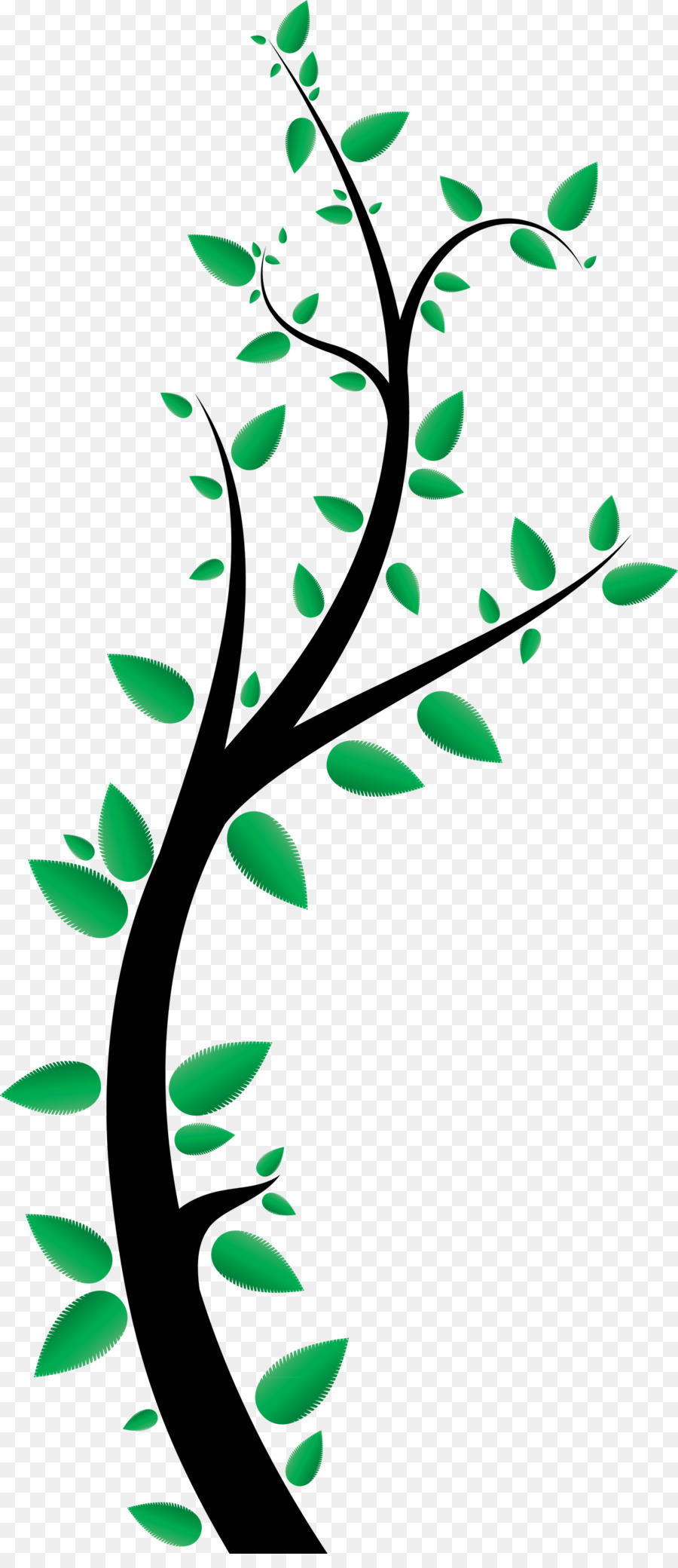 Arbre Nu，Bifurquer PNG