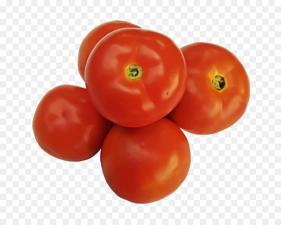 Les Plantes，Tomate PNG