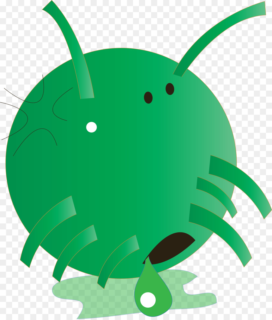 Insecte，Feuille PNG