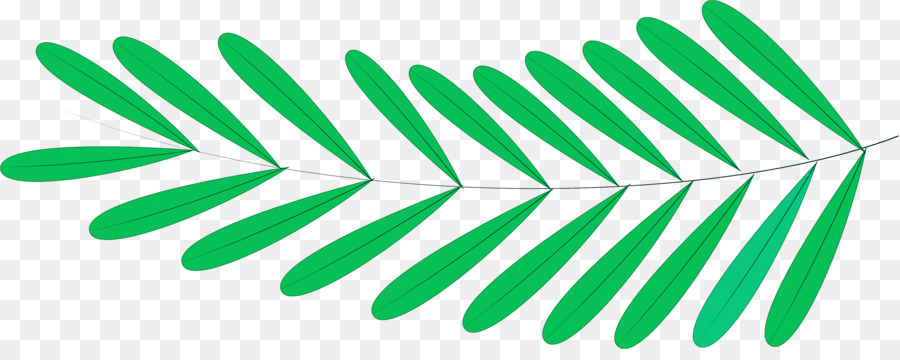 Feuille，Vert PNG