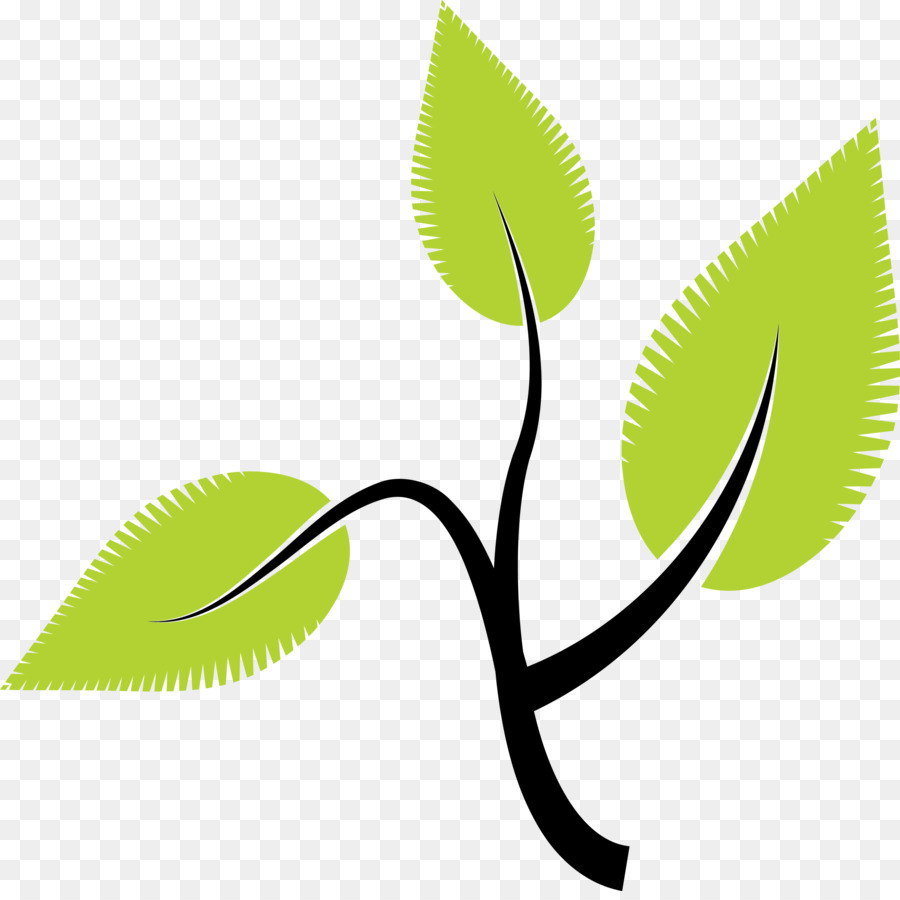 Feuille，Tige De La Plante PNG