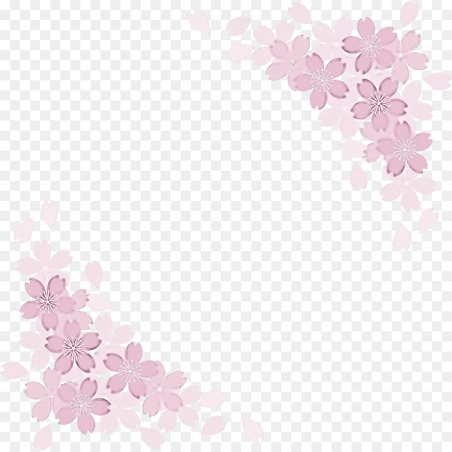 Sakura，Fleur De Cerisier PNG