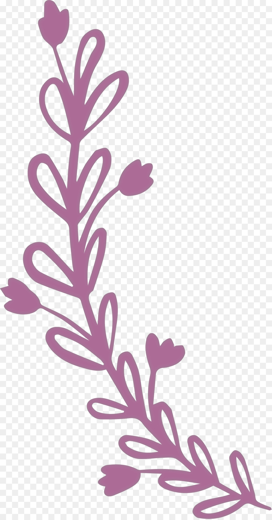 Floral Rouge，Fleurs PNG