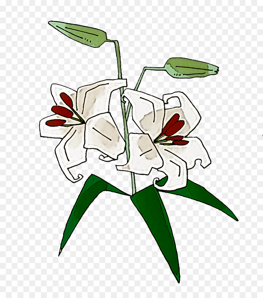 Fleurs Blanches，Floraison PNG