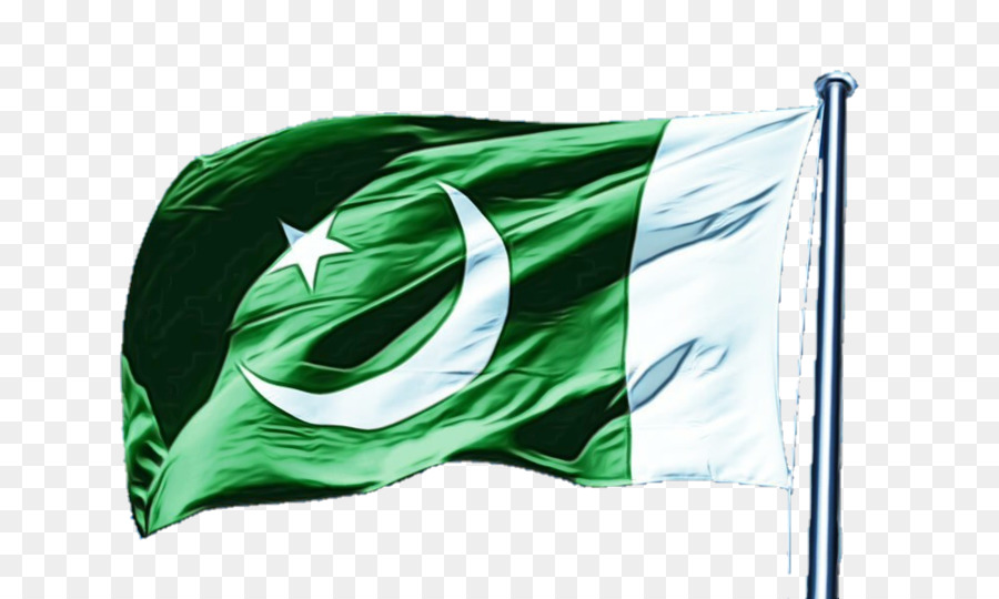 Drapeau Du Pakistan，Vert PNG