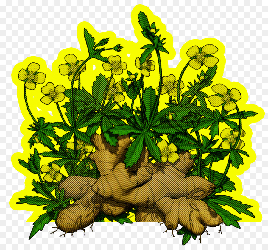 Feuille，Tige De La Plante PNG