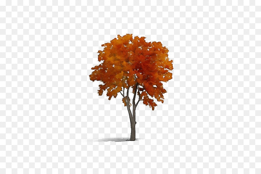 Arbre，L'automne PNG