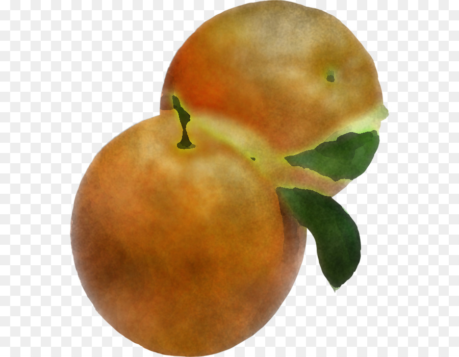 Pomme，Agrumes PNG