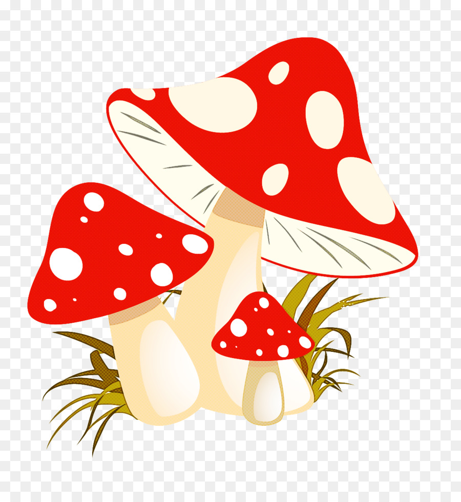 Champignons，Feuilles PNG