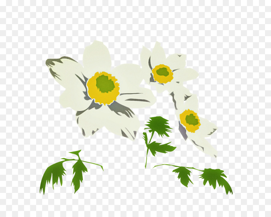 Design Floral，Chrysanthème PNG